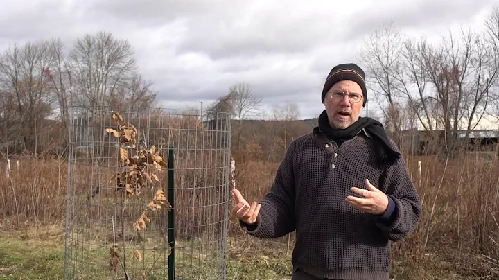 Zone 4 Staple Crop Agroforestry with Jono Neiger