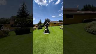 Bermudagrass mowing today satisfaction #giardinaggio #tappetoerboso #lawn