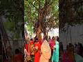 वट सावित्री पूजा। मुझे सौभाग्य बर चाहिए। VAT Savitri Puja#YouTube shorts trending viral video