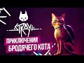 Прохождение STRAY