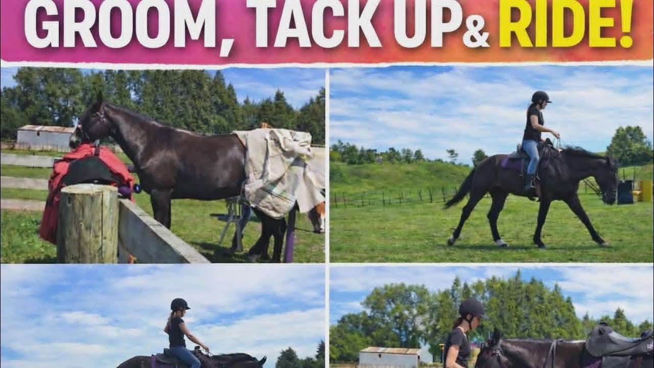 GROOM, TACK UP AND RIDE WITH ME! / Schooling my Reining Horse!