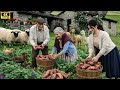 Life in the countryside garden - This is a great way to grow and harvest sweet potato - Farm fresh
