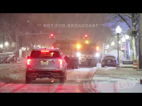 03-03-2023 Detroit, MI - Major Winter Storm - Thundersnow - Power Flashes - Tree Damage - Heavy Snow