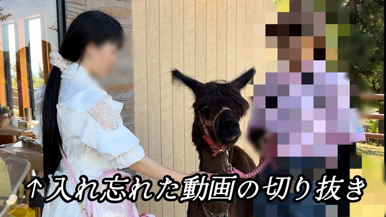 𓏲 ˖ 親友'sとマザー牧場グランピング最高すぎた ‧₊˚