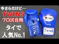【TWINS】定番のプロ試合用グローブを今さらレビューした