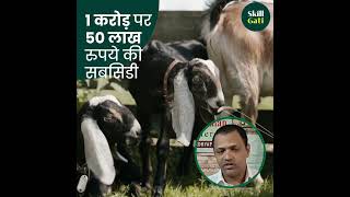 Goat Farming NLM Scheme | बकरी पालन व्यवसाय NLM सब्सिडी | SkillGati | हिंदी में