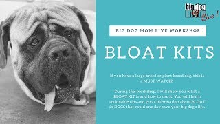 Bloat Kit - What a bloat kit is and how to use one during bloat (GDV)