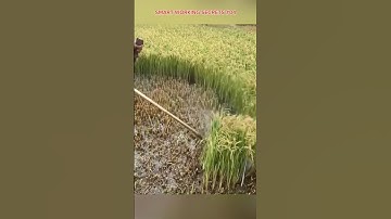 Amazing Work Tips №10 #workskills #smartwork  #shorts