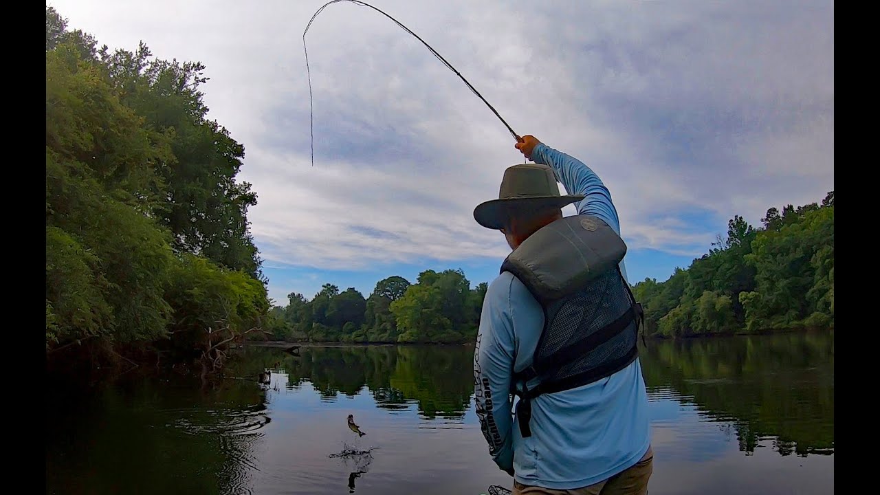 Topwater Fly Fishing For Shoal Bass My Biggest So Far! YouTube