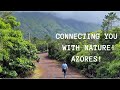 Allow nature to calm you on Pico Island Portugal Azores. Nature, Gardening & pasta sauce. Episode 10