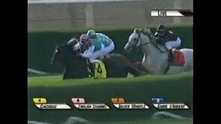 2006 Manhattan Handicap