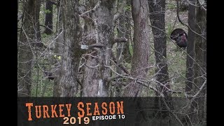Ohio Turkey Hunting pt.2! - GOBBLER ROOSTED!!!!! screenshot 2