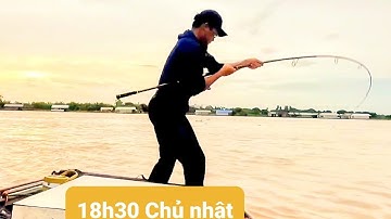 Câu cá dồ đém #22. Đóng cá vậy mới sướng