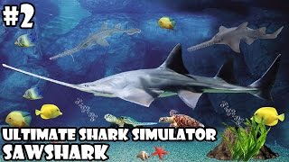 Ultimate Shark Simulator -Family Sawshark- Android/iOS - Gameplay Part 2 screenshot 4