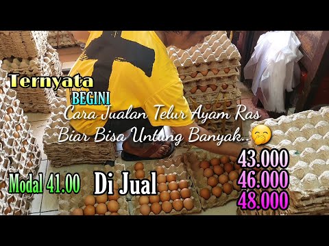 Video: Berapa banyak yang bisa Anda dapatkan untuk menjual telur Anda?