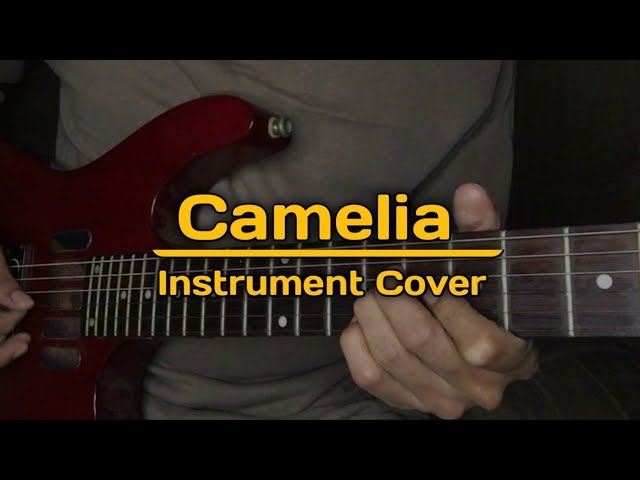 Camelia || Instrument Cover class=