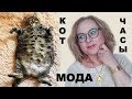 Кот, новые часы Swatch, модные образы на весну - Vlog