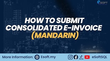 How to Submit Consolidated E-Invoice (Mandarin)