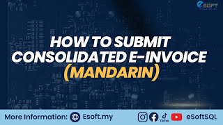 How To Submit Consolidated E-Invoice Mandarin