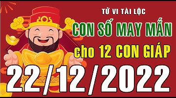 CON SỐ MAY MẮN HÀNG NGÀY (22-12-2022) CỦA 12 CON GIÁP: Số Tài lộc, Giàu có & Thịnh Vượng