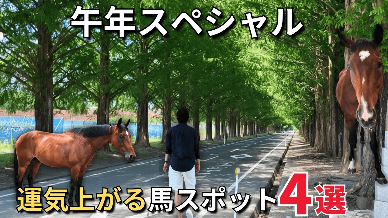 2026年午年に絶対行っておきたい馬スポット！行けば癒し＆運気が上がる！