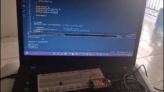 Practica 11 Programación visual