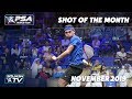 Squash: Shot of the Month - November 2019