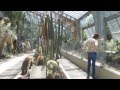 Jardin Botanico Chicago En