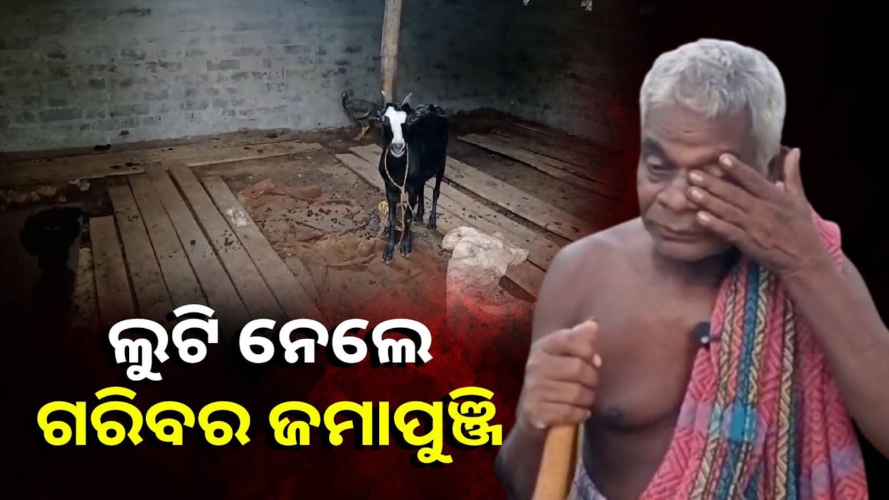 ଛେଳି ପାଳି ଚଳୁଥିବା ଗରିବ ପରିବାରକୁ ସର୍ବସ୍ବାନ୍ତ କରି ଦେଲେ ଲୁଟେରା