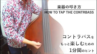 【コントラバス】〔7〕楽器の叩き方 | How To Tap The Contrabass 【Contrabass】