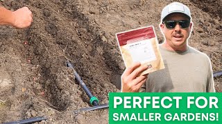 How to Grow Corn in Small Spaces! by Lazy Dog Farm 12,650 views 1 month ago 12 minutes, 14 seconds