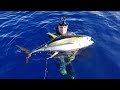 Pesca Sub Atum, Rio de Janeiro, Tuna Spearfishing com Diego Santiago