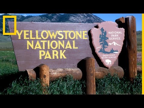 Video: ¿En qué límite de placa está Yellowstone?