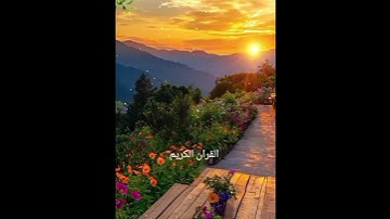 القرآن الكريم راحة 🌿🌷 #قرآن #قران_كريم #راحة_نفسية #الحمدلله #اكسبلور #تلاوة_خاشعة