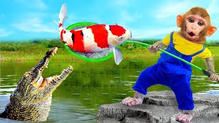 Baby monkey Kiki Suddenly Meets a Crocodile while Fishing Koi Fish at the pond | KUDO ANIMAL