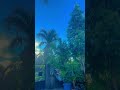 Peaceful