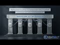 Your C-Suite Can't Agree on AI Ethics. What's Your FIRST Move? | SHRM-SCP SJI Walkthrough