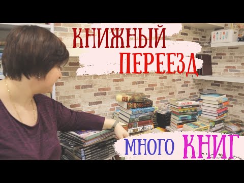 Бейне: Еуропалық бук (24 фото): қызыл жапырақты бук дегеніміз не? Қызыл буктың сипаттамасы, жылайтын ағаштың қолданылуы