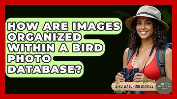 How Are Images Organized Within A Bird Photo Database? - Bird Watching Diaries
