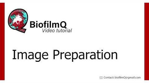 BiofilmQ Tutorials - 2.1 Image Preparation