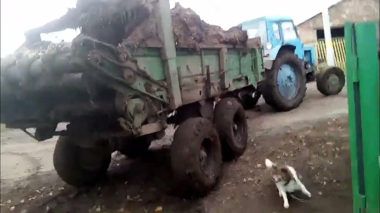 Т - 40 + РОУ 6. ( розкидаю органіку) - YouTube