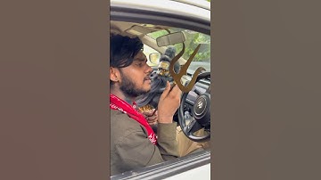 😱😱😱 shivji #hanumanji #bholenath #mahadev #mahakal #trending  #shorts #viral #song #hanuman