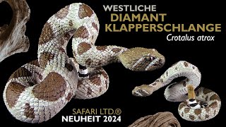 Safari Ltd. ® Westliche Diamant Klapperschlange - Crotalus atrix - Western Diamondback Rattlesnake