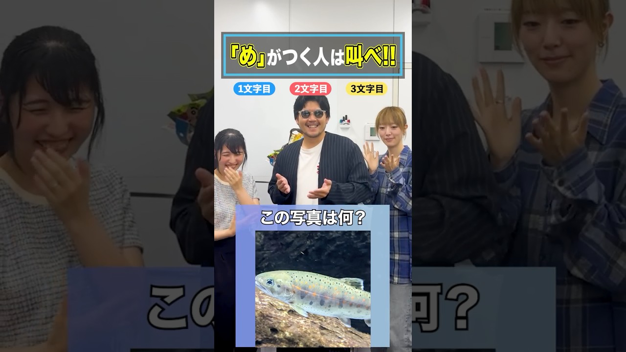 【め組のひと】魚は全部ムズカしいですよ・・ #株式会社MainC#ベンチャー企業の日常#め組のひと#スクール革命 #Shorts