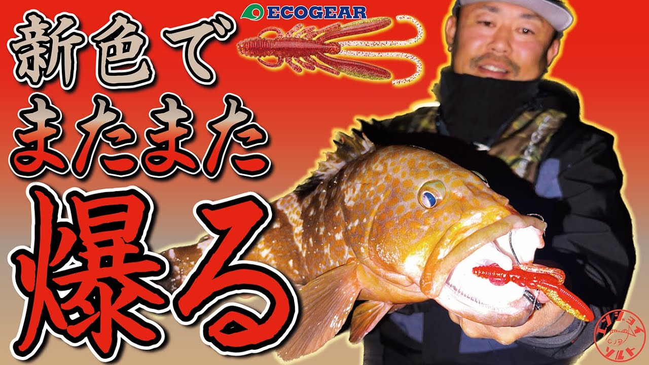 エンジョイソルトページ 必見!!爆風でのアコウの釣り方 - YouTube