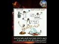 Docteur AYOUB Ousmane Aboubakar Maroua ЁЯСЙЁЯСВ Docteur AYOUB Ousmane Aboubakar Maroua ЁЯСЙЁЯСВ