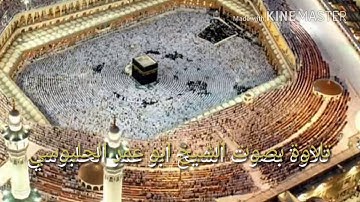 تلاوه بصوت الشيخ ابوعمر الحلبوسي