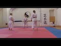 Kata Ji In And Bunkai 