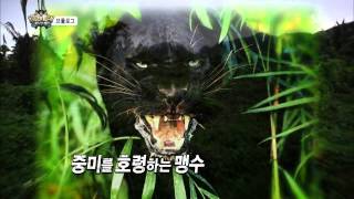 정글의법칙 130726 #22(2)