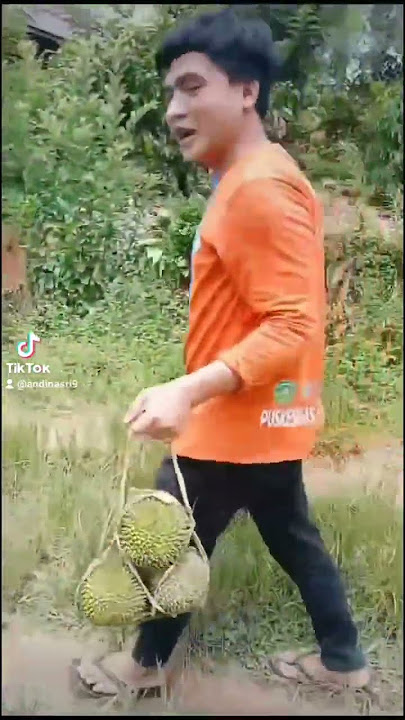 Waspada! Punyanya orang di musim Buah Durian! #masukberanda #durian #buahbuahan #storywa